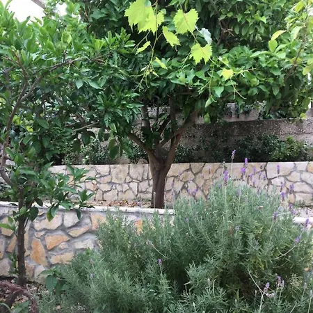 Апартаменты Mojmir 1