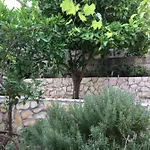 Apartman Mojmir 1