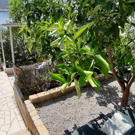 Mojmir 1 Apartment *