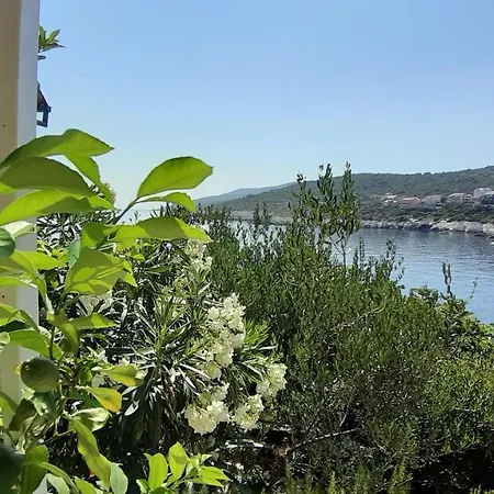 Apartment Mojmir 1 Zavalatica